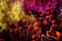 742 - COLORS OF HOLI - KATARUKA SITARAM - india <div